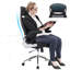 Brinlea Mesh Office Chair with Headrest