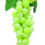 Grappe de raisin Grasmere-29363610-29691937