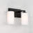 Ravenwood 2 - Light Dimmable Vanity Light-86284012