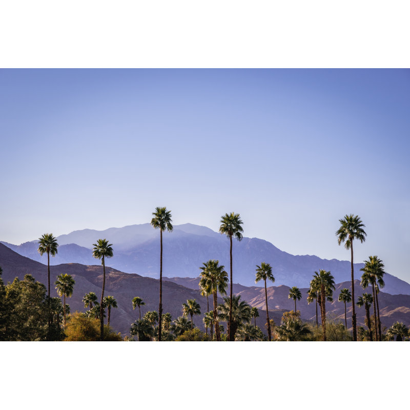 Palm Springs by Wildroze - No Frame Art Prints on Canvas, 51cm H x 76cm W