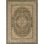 Oriental Area Rug in Green/Brown