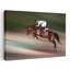 «Dynamic Horse Jump Elegant Contemporary Horse», impression murale-131393603