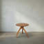 Vikram Solid Wood End Table-1744372561