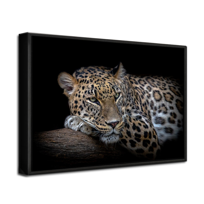 «Leopard Resting», art mural sur toile tendue par Nauzet Baez, H 24 po x l 26 po, Papier avec cadre noir