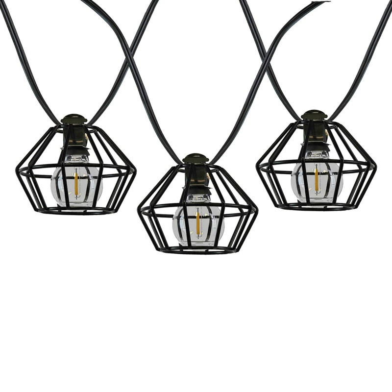 Doyne Outdoor 10 - Bulb 11'' Plug-in LED Globe String Light