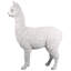 Statue de jardin alpaga Alpacalypse