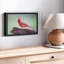 "Cardinal sur bois, art mural"-649057461