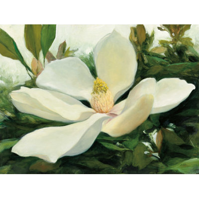 " Majestic Magnolia " by Julia Purinton