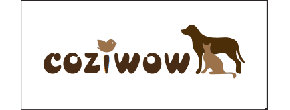 coziwow Logo