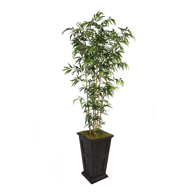 Bambou artificiel en pot 72 po Panama, Noir / bronze, Naturel