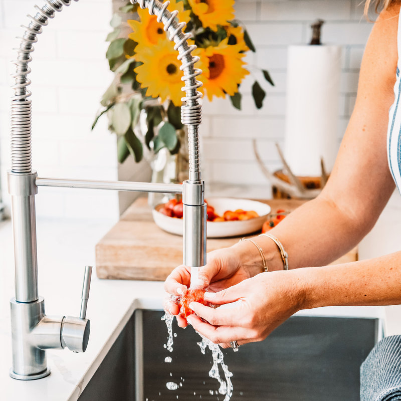 Sierra Pull Down Single Handle Kitchen Faucet with Side Spray and Accessories, Stainless Steel