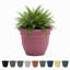 Pot à fleurs intérieur / extérieur Traditional-927975567-867405349