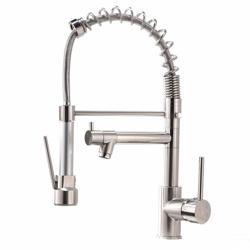 Robinet de cuisine avec douchette rétractable, robinet d'évier de cuisine à poignée simple