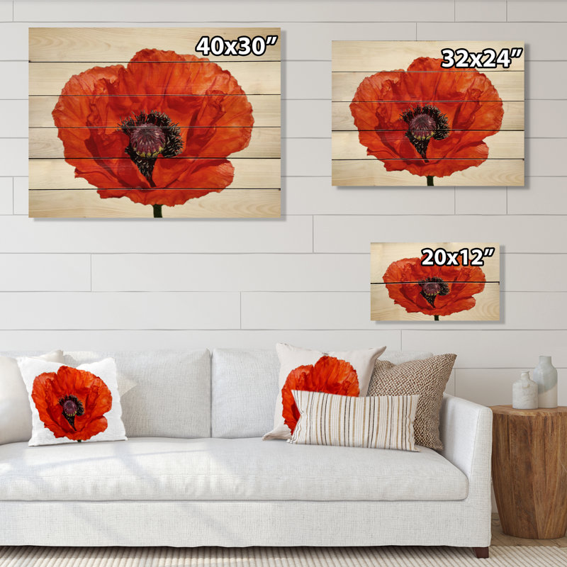 Gros plan sur un coquelicot rouge - impression sur, H 12 po x l 20 po x P 1 po