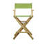 Chaise de réalisateur pliante 24 po-29340603-19623357