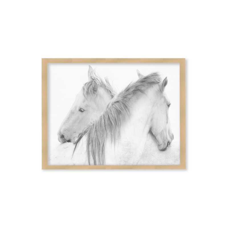 Chevaux - reproduction de photo sur toile, H 30 po x l 40 po, Impression encadrée, Naturel