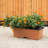 Lionnel Planter Box-1977765779