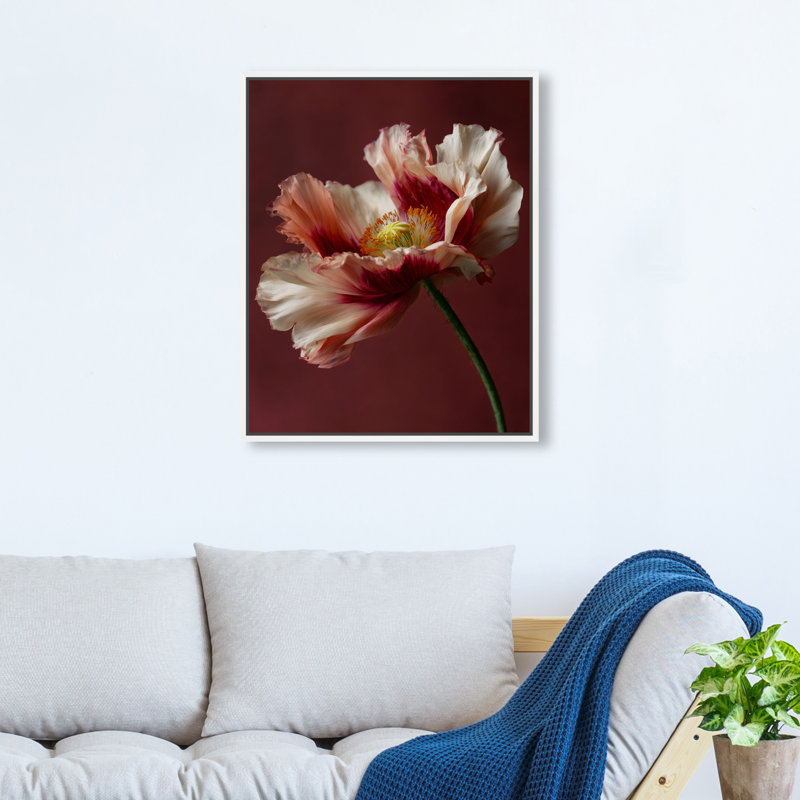 Merlot Blush Blossom I Print by Oliver Gal, 17"H x 21"W, White Floater Frame