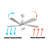 Lyam 52'' Ceiling Fan with LED Lights-2111110743