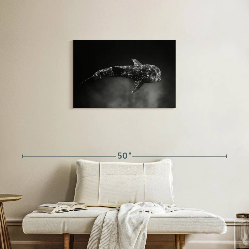 Brampt Monochrome Whale Shark, 20'' H x 30'' W