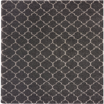 Ilkan Performance Southwestern Indoor / Outdoor Rug