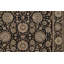Manchuria Wool Oriental Area Rug in Beige/Black