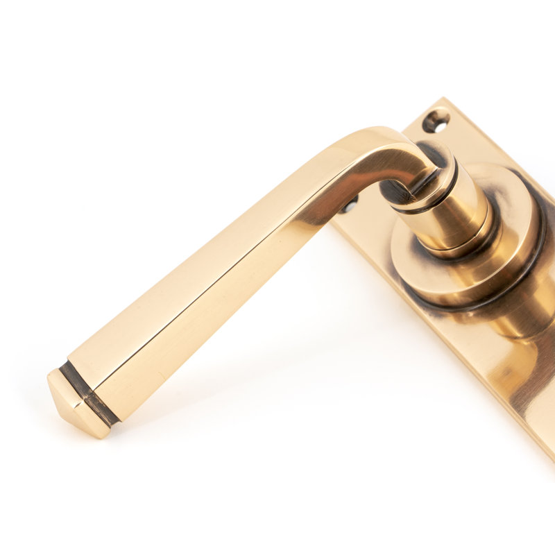 Avon Double Dummy Door Handle, Polished Bronze