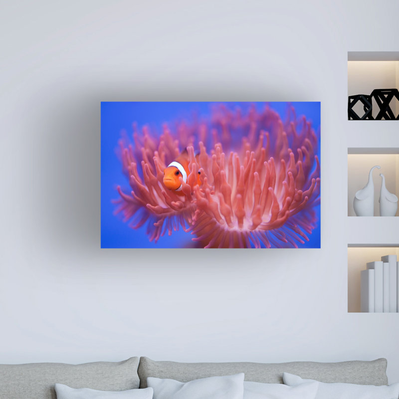 «Finding Nemo» par Wendy, reproduction de photo sur toile tendue, H 16 po x l 24 po x P 2 po