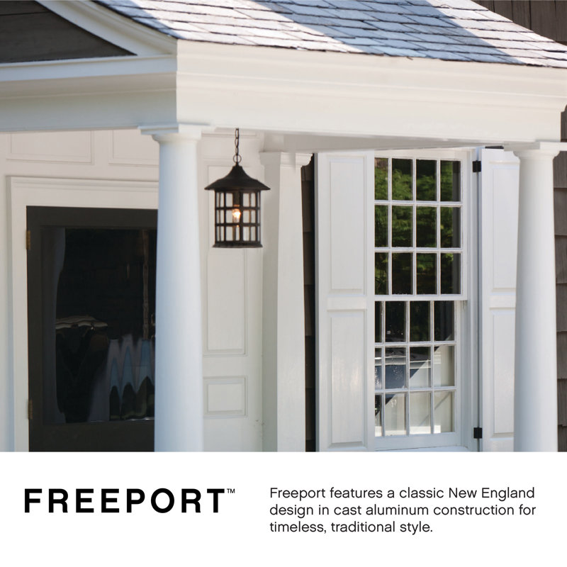 Freeport 1 Light Outdoor Hanging Lantern, Classic White, Medium, Clear Seedy