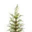 Ensemble de 2 pièces de Noël artificielles de 4 pi avec matériau en PE de haute qualité, ensemble facile à assembler, support en pot