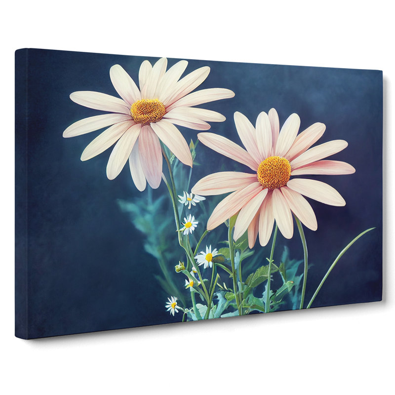 Beaming Daisy Flowers - Wrapped Canvas, 40cm H x 60cm W x 3cm D