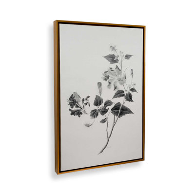 Botanical I by Deborah Revell Canvas Art Print
