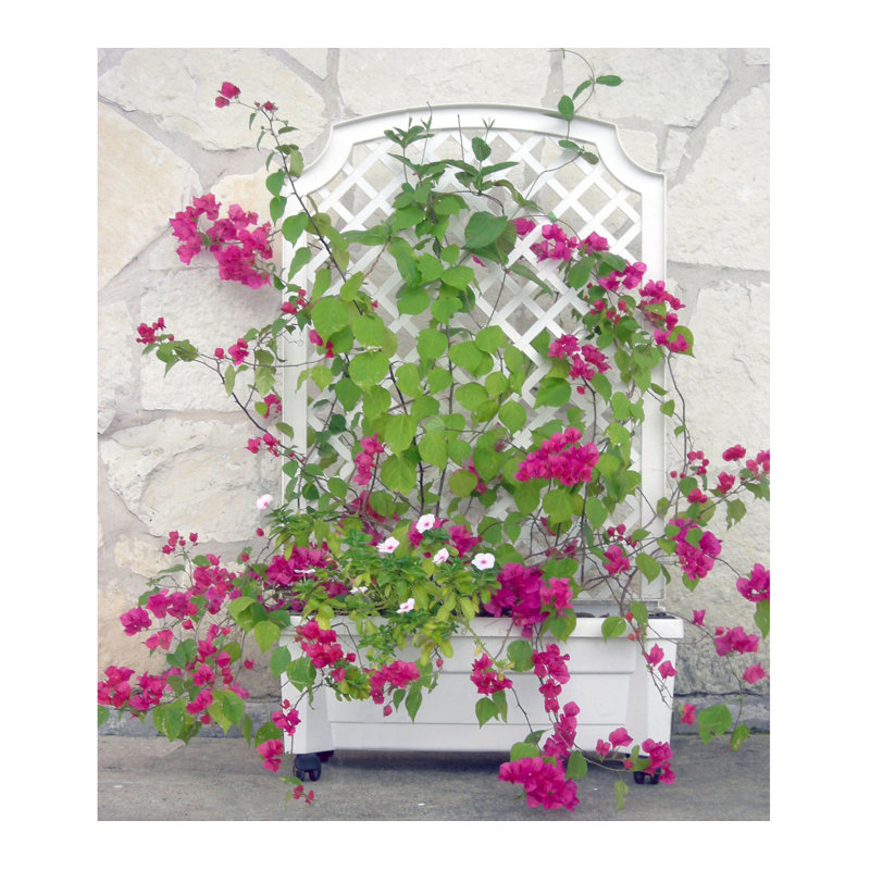 Boîte à fleurs en plastique avec treillis 1 pièce Brandun, Blanc