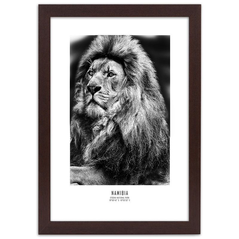 African Lions, Animals - Single Picture Frame Print, 100cm H x 70cm W, Brown