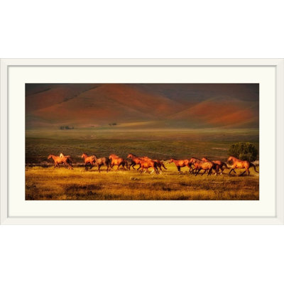 Kemani " Montana Dreaming " by Lisa Dearing