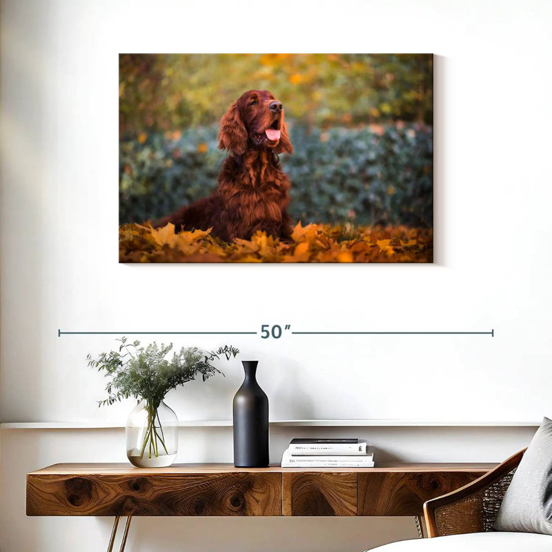 Crowle Setter irlandais en automne, H 24 po x l 36 po