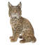 STATUE BOBCAT ASSISE