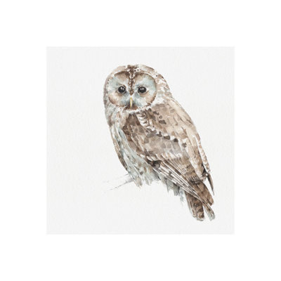 Toile texturée embellie à la main Forest Friends IX (Owl) par Lisa Audit