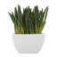 Bartol plante artificielle en pot 8,35 po