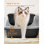 Polypropylene Litter Box-118093887-118093889