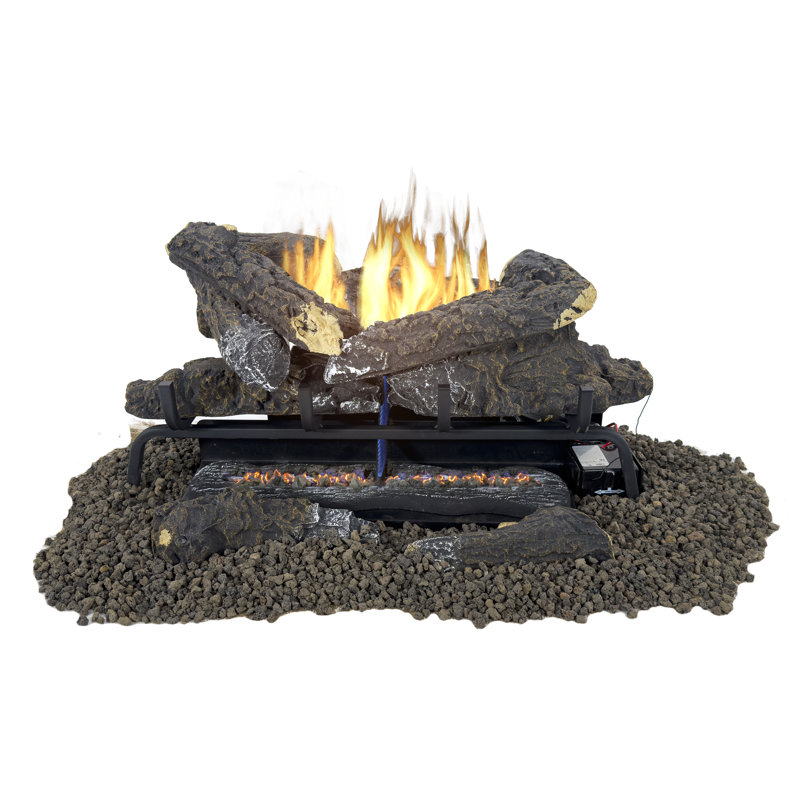Ensemble de bûches au gaz 24 pouces Valley Oak Free 33 000 BTU