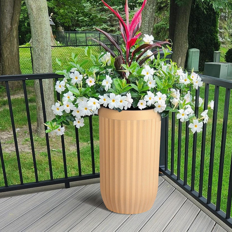 Pots à eau 23 "2 PCS Gold
