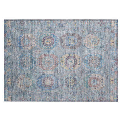 Machine Washable Indoor/Outdoor Lafferty ACN2227 Panel Rug