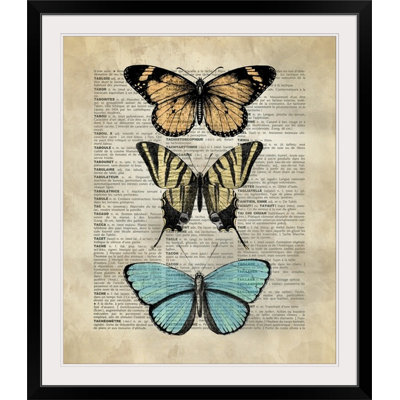 «Nakagawa», art du papillon rétro par Kate Lillyson