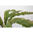 Bragdon Artificial Succulent Plant in Planter