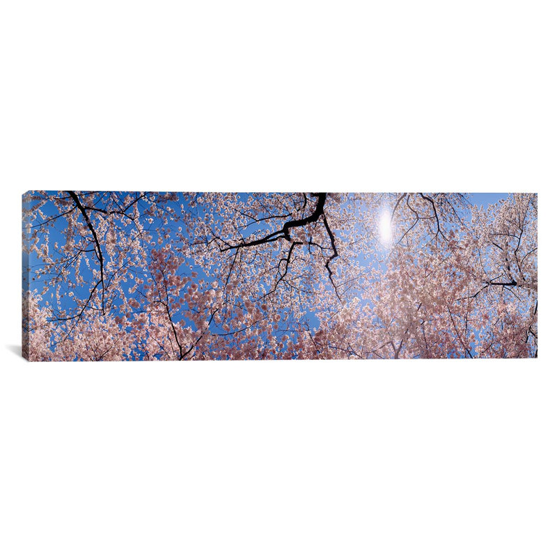 Reproduction de photo panoramique sur toile tendue washington d.c., H 12 po x l 36 po x P 1,5 po, Toile avec cadre noir