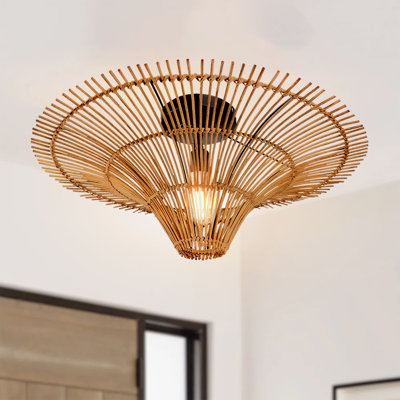 Alayanna Ceiling Light 1-Light, 23.62 cm