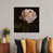 White Floater Framed