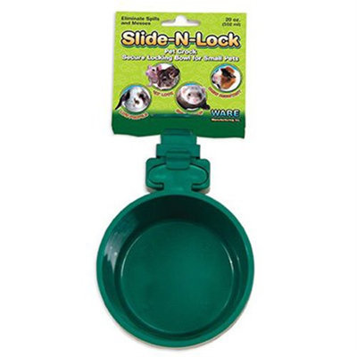 Pet Bowl