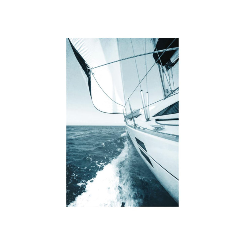 Marine Dream III Print by Sofia Fox, Outdoor, 54" H x 36" W